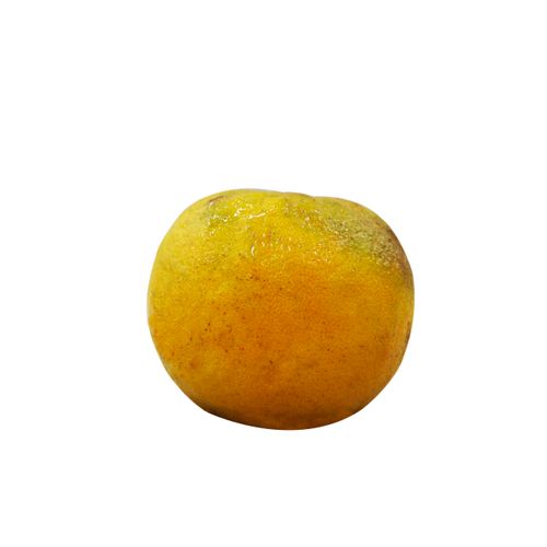 Naranja Agria Un