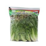 Frutas-y-Verduras-Verduras-Lechuga_7422332600933_1.jpg
