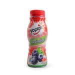 Lacteos-Derivados-y-Huevos-Yogurt-Yogurt-Liquido_7441014707326_1.jpg