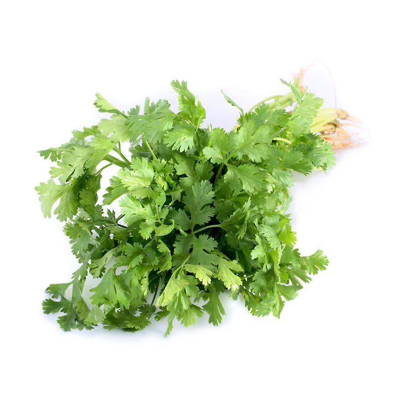 Frutas-y-Verduras-Verduras-Verduras-Para-Condimentos_426_3.jpg