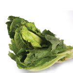Frutas-y-Verduras-Verduras-Verduras-Para-Ensaladas_254_3.jpg