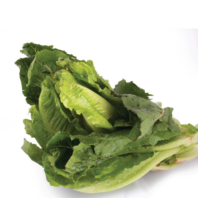 Frutas-y-Verduras-Verduras-Verduras-Para-Ensaladas_254_3.jpg
