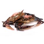 Pescados-Y-Mariscos-Camarones-Langosta-Cangrejo-y-Jaiba-Langosta-Cangrejo-y-Jaiba_2030021000000_1.jpg