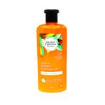 Belleza-y-Cuidado-Personal-Cuidado-del-Cabello-Acondicionador_190679000163_1.jpg