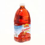 360-Bebidas-y-Jugos-Jugos-Jugos-Frutales_035406034151_4.jpg