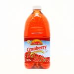 360-Bebidas-y-Jugos-Jugos-Jugos-Frutales_035406034151_5.jpg