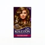 360-Belleza-y-Cuidado-Personal-Cuidado-del-Cabello-Tintes-y-Decolorantes_7411002135332_1.jpg