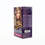 360-Belleza-y-Cuidado-Personal-Cuidado-del-Cabello-Tintes-y-Decolorantes_7411002135332_3.jpg