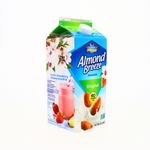 360-Lacteos-Derivados-y-Huevos-Leches-Liquidas-Almendras-Soya-y-Arroz_041570056172_15.jpg