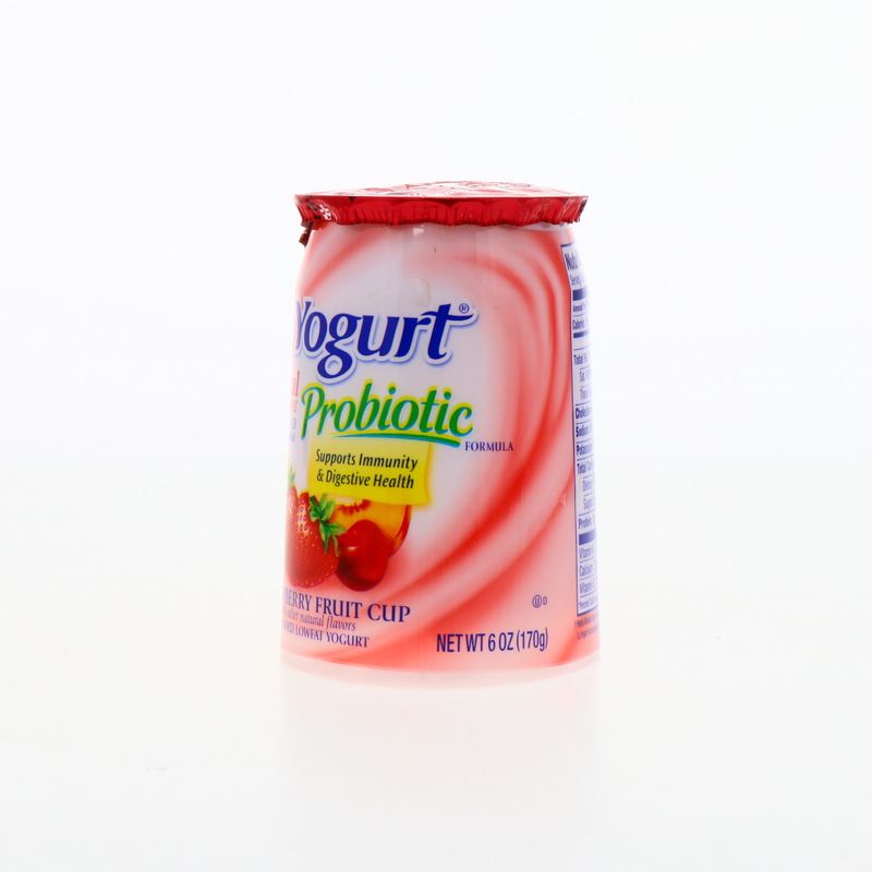 360-Lacteos-Derivados-y-Huevos-Yogurt-Yogurt-Solidos_053600000086_2.jpg