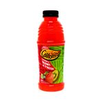 cara-Bebidas-y-Jugos-Jugos-Jugos-Frutales_7411204801080_1.jpg