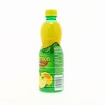 360-Bebidas-y-Jugos-Jugos-Jugos-Frutales_014800582239_21.jpg