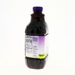 360-Bebidas-y-Jugos-Jugos-Jugos-Frutales_041800207503_18.jpg