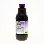 360-Bebidas-y-Jugos-Jugos-Jugos-Frutales_041800207503_19.jpg