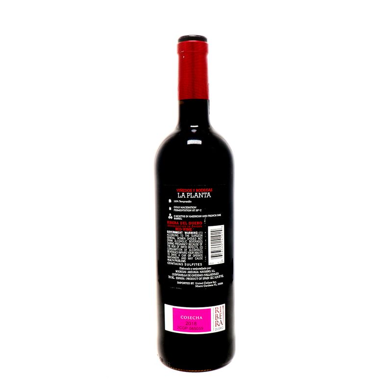 Vino-La-Planta.jpg