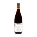 Vino-Pinot.jpg