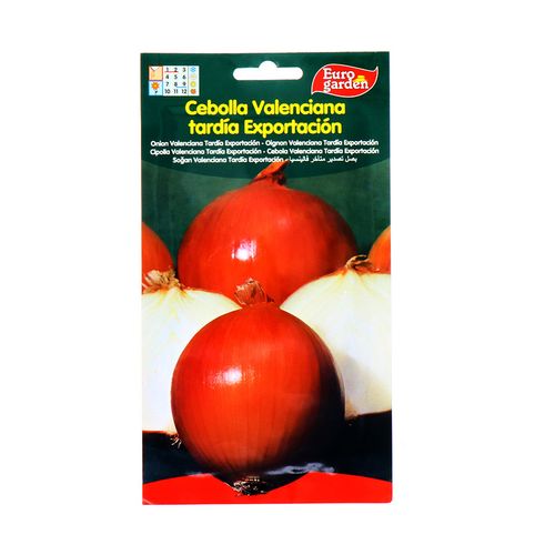 Semillas De Cebolla Eurogarden Valenciana 5 Gr