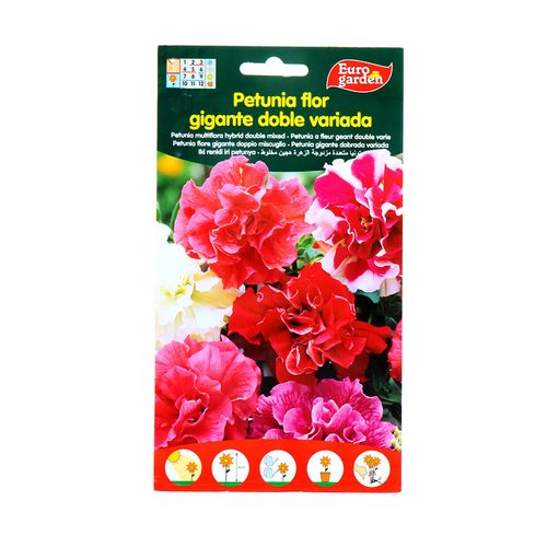 Semillas Petunia Flor Eurogarden Gigante Doble 40M G