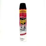 Raid