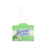 Terror