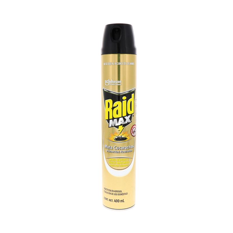 Raid