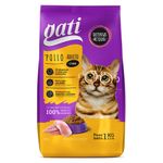 Gati