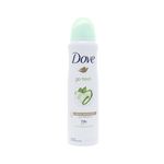 Dove